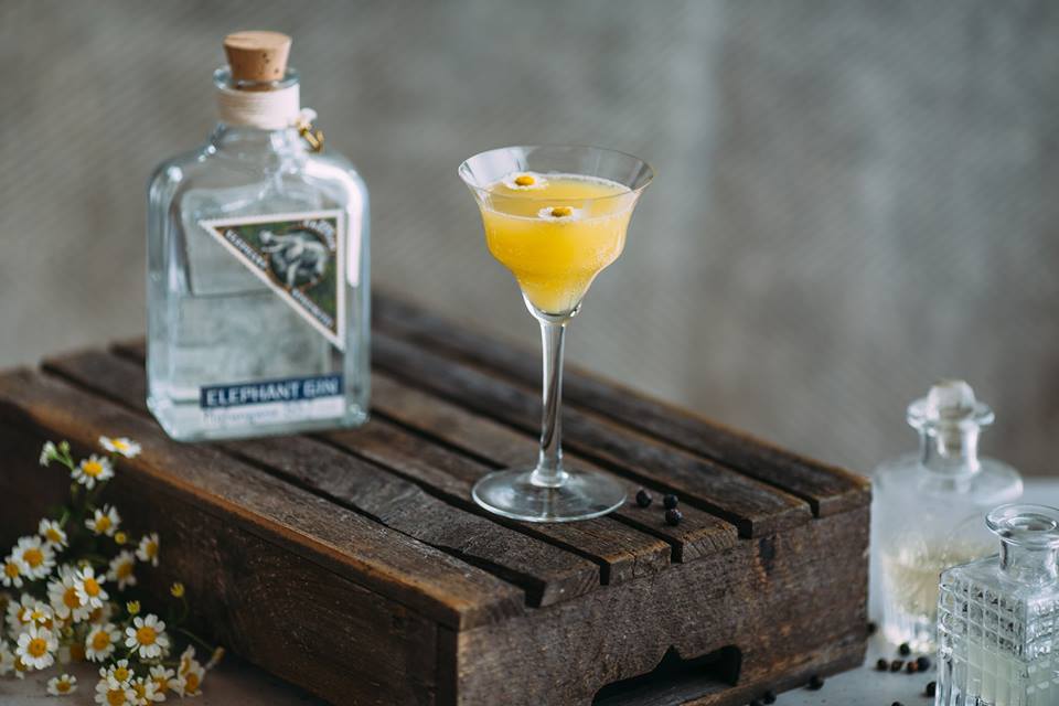 Cocktail Blog