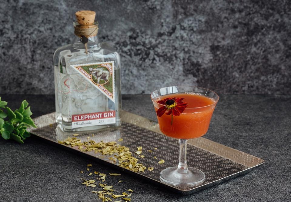 Cocktail Blog
