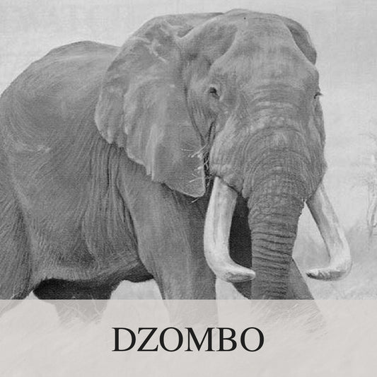 Elephant Blog
