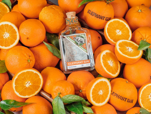 Introducing Elephant Orange Cocoa Gin!