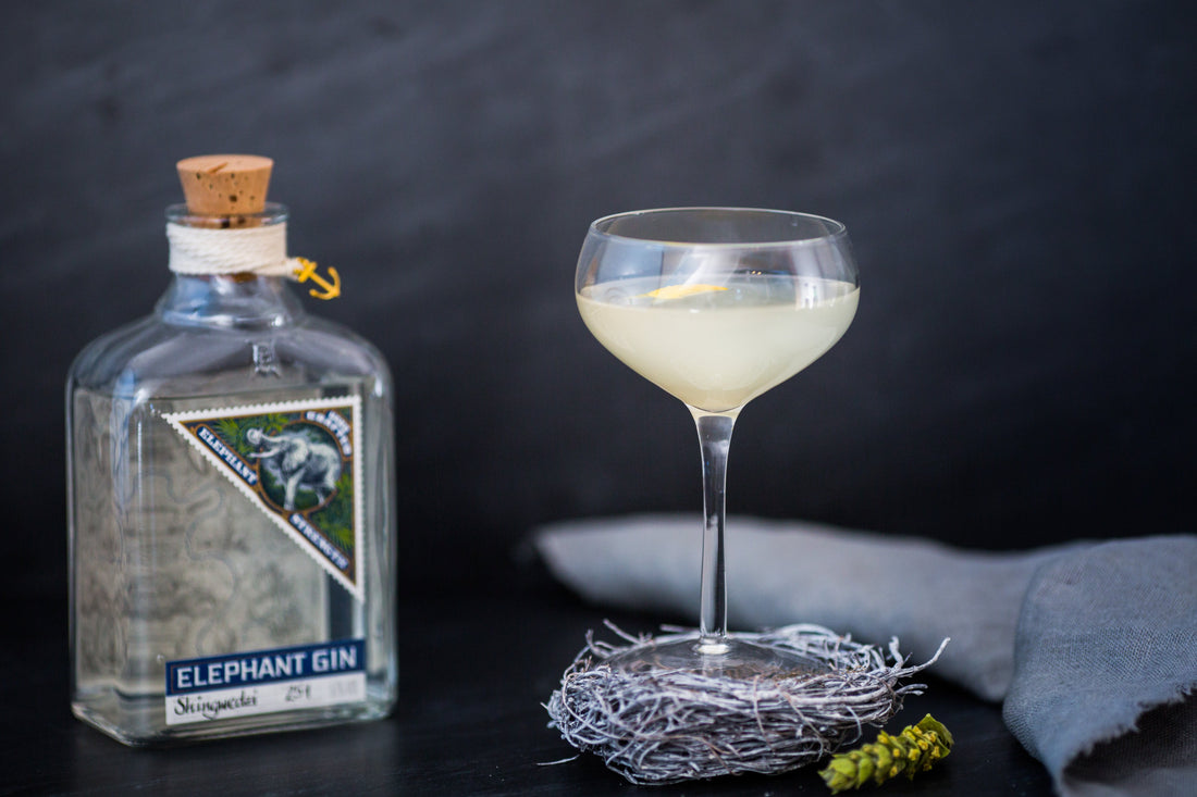 Cocktail Blog