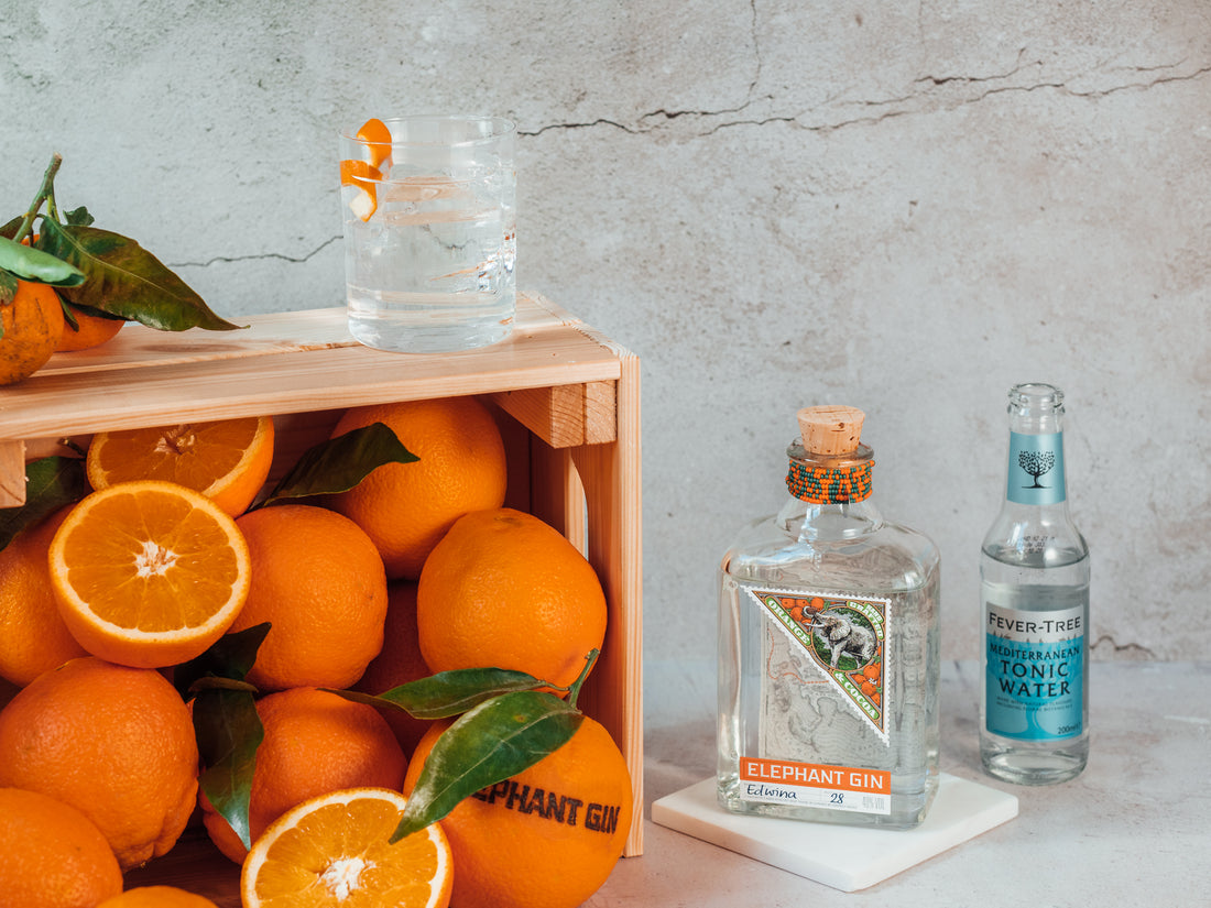 Perfect Serve: Elephant Orange Cocoa Gin