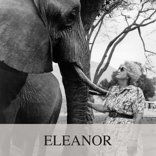 Elephant Blog