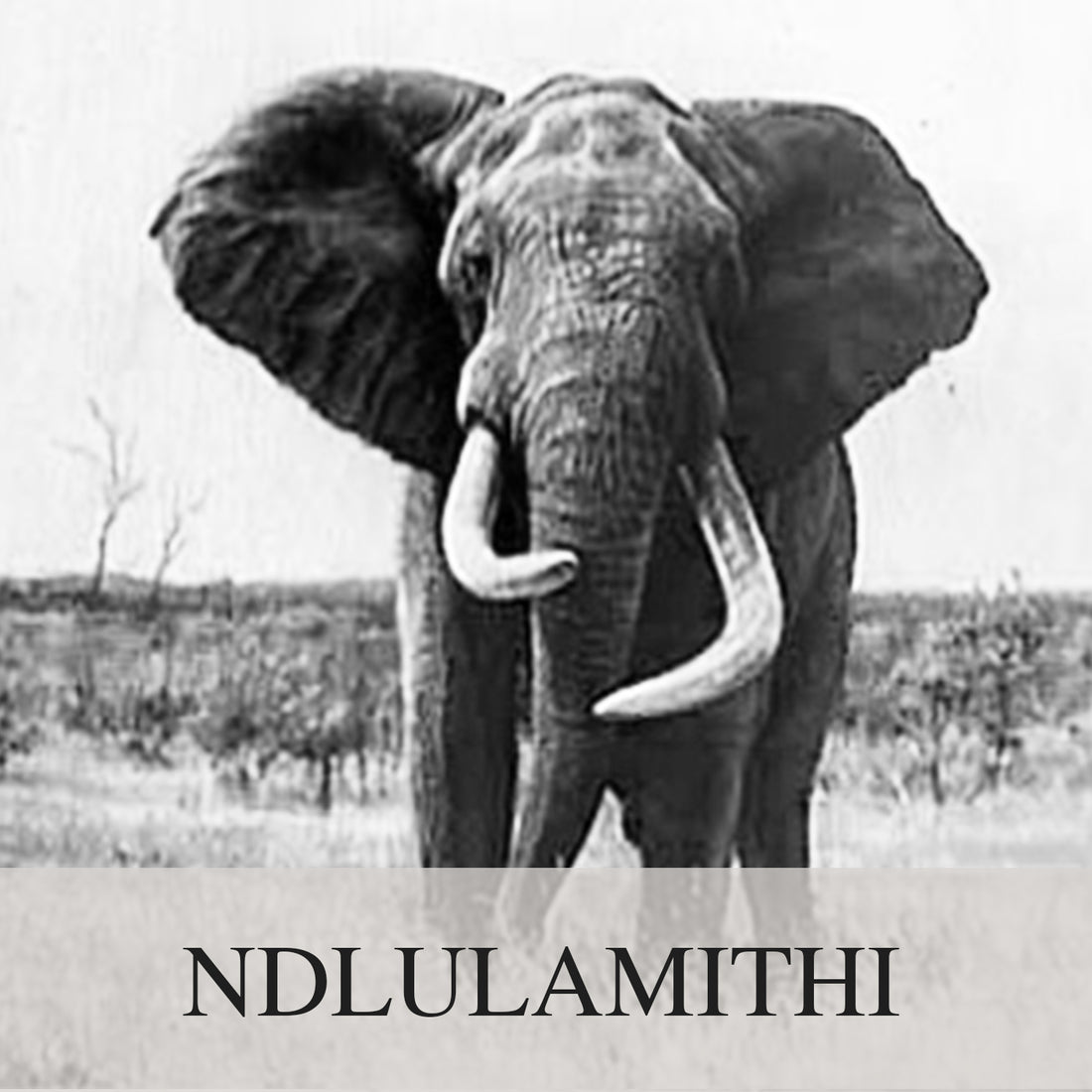Ndlulamithi