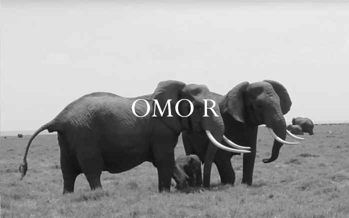 Elephant Blog