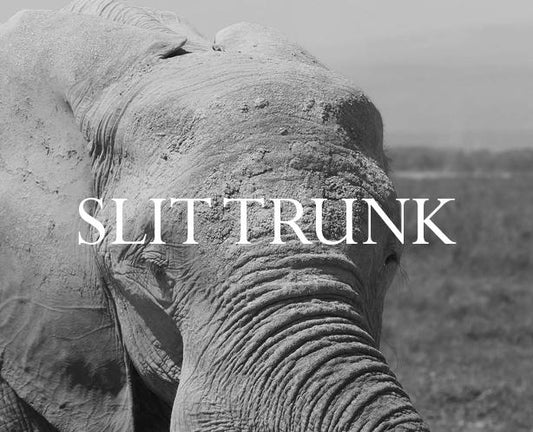 Elephant Blog