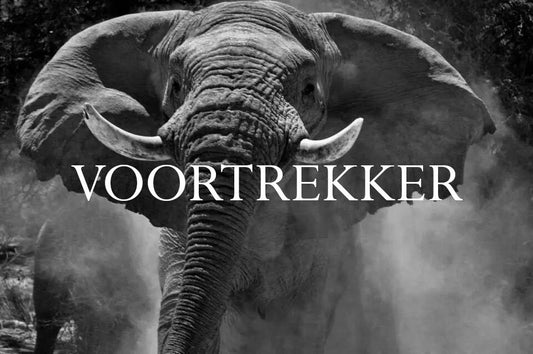 Elephant Blog