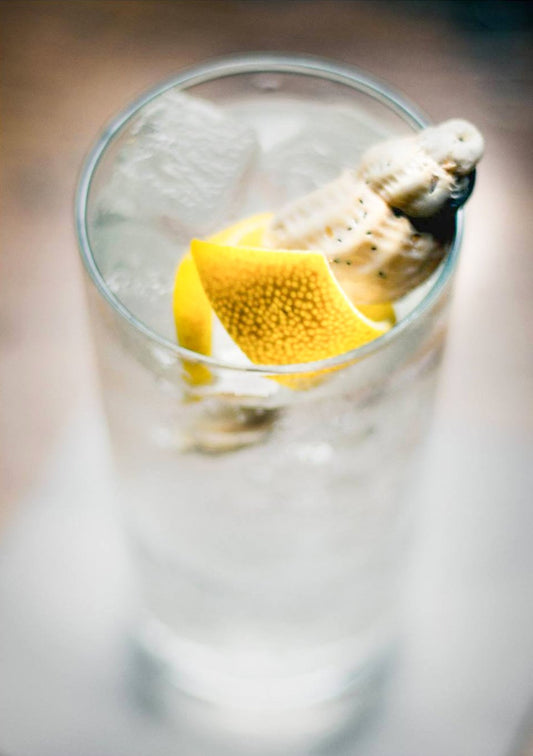 Cocktail Blog