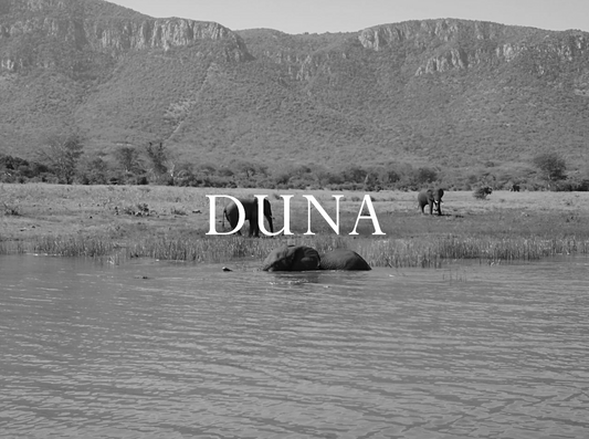 Elephant Blog