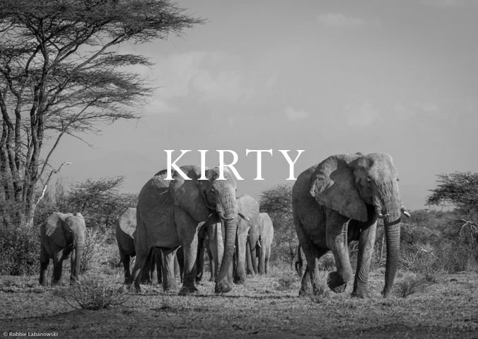 Elephant Blog