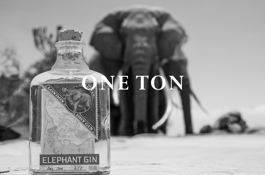 Elephant Blog