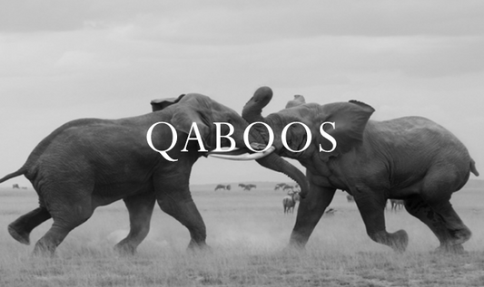 Elephant Blog