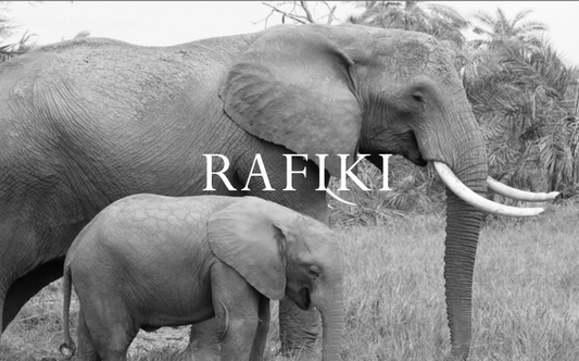 Elephant Blog