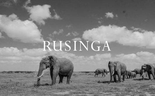 Elephant Blog