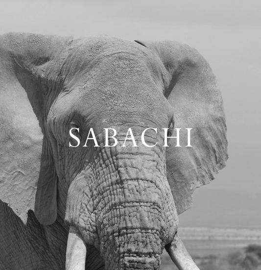 Elephant Blog