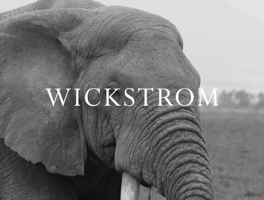 Elephant Blog