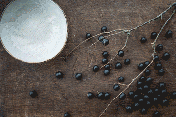 How to make a sloe gin at home