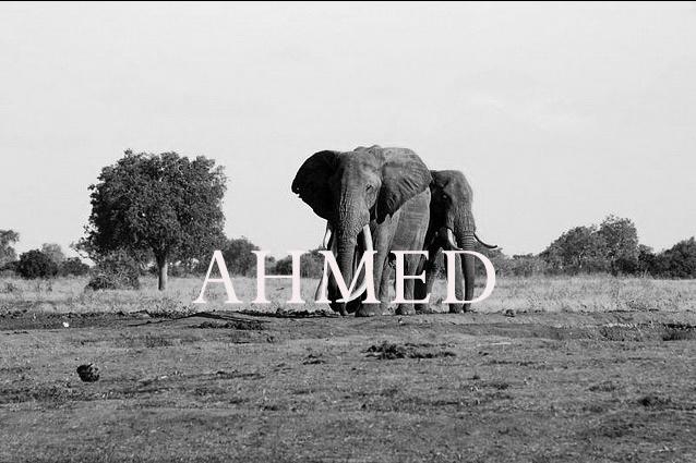 Ahmed – EG Spirits GmbH, Elephant Gin