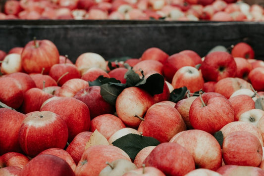 It’s apple picking season!