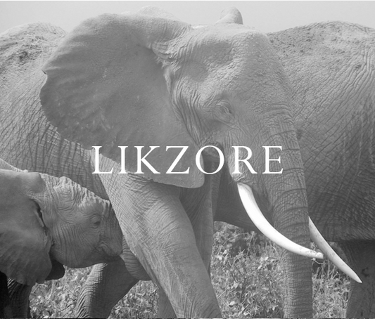 Elephant Blog