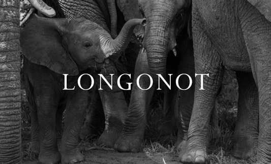 Elephant Blog