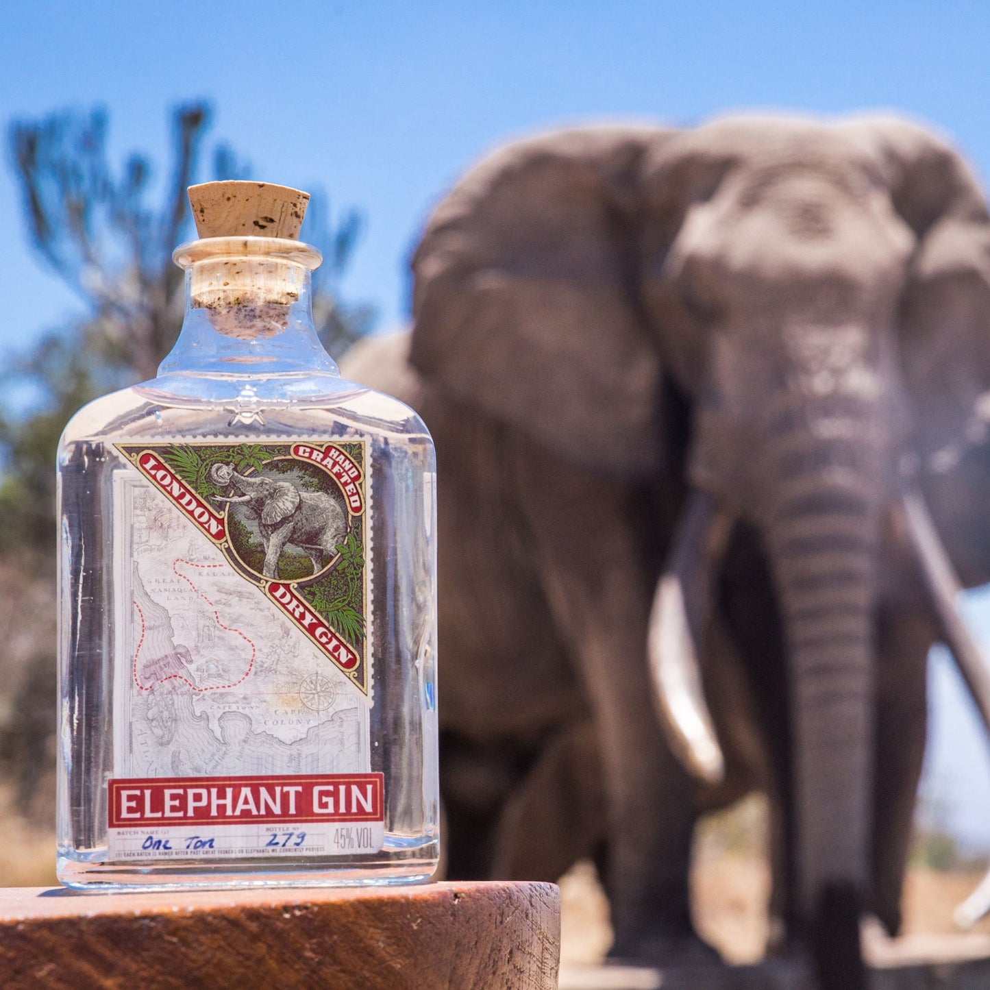 Elephant London Dry Gin 500ml & Thomas Henry Tonic Water Bundle